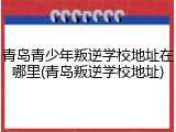青岛青少年叛逆学校地址在哪里(青岛叛逆学校地址)