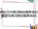 呼伦贝尔根河数控模具培训靠谱吗(根河数控模具培训)
