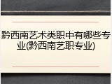 黔西南艺术类职中有哪些专业(黔西南艺职专业)