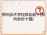 郑州武术学校排名前十(郑州武校十强)