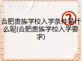 合肥贵族学校入学条件是什么呢(合肥贵族学校入学要求)