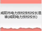 咸阳市电力技校技校校长是谁(咸阳电力技校校长)