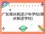 广东肇庆叛逆少年学校(肇庆叛逆学校)