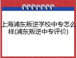 上海浦东叛逆学校中专怎么样(浦东叛逆中专评价)