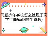 问题少年学校怎么处理职高学生(职高问题生管教)