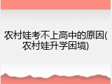 农村娃考不上高中的原因(农村娃升学困境)