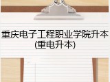 重庆电子工程职业学院升本(重电升本)