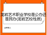 龙岩艺术职业学校是公办还是民办(龙岩艺校性质)