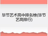 毕节艺术高中排名榜(毕节艺高排行)