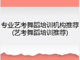 专业艺考舞蹈培训机构推荐(艺考舞蹈培训推荐)