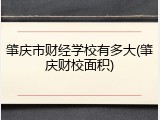 肇庆市财经学校有多大(肇庆财校面积)