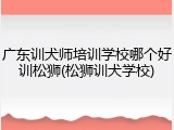 广东训犬师培训学校哪个好训松狮(松狮训犬学校)