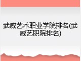 武威艺术职业学院排名(武威艺职院排名)