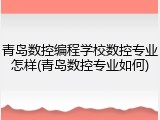 青岛数控编程学校数控专业怎样(青岛数控专业如何)