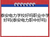 泰安电力学校好吗职业中学好吗(泰安电力职中好吗)