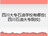 四川大专石油学校有哪些(四川石油大专院校)