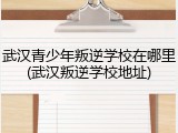武汉青少年叛逆学校在哪里(武汉叛逆学校地址)