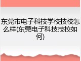 东莞市电子科技学校技校怎么样(东莞电子科技技校如何)