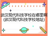 武汉现代科技学校在哪里啊(武汉现代科技学校地址)