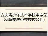 安庆青少年技术学校中专怎么样(安庆中专技校如何)