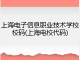 上海电子信息职业技术学校校码(上海电校代码)