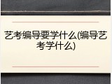 艺考编导要学什么(编导艺考学什么)