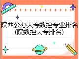 陕西公办大专数控专业排名(陕数控大专排名)