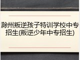 滁州叛逆孩子特训学校中专招生(叛逆少年中专招生)