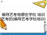 编导艺考有哪些学校 培训艺考的(编导艺考学校培训)