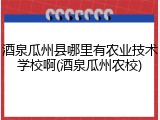 酒泉瓜州县哪里有农业技术学校啊(酒泉瓜州农校)
