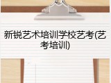 新锐艺术培训学校艺考(艺考培训)