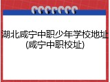 湖北咸宁中职少年学校地址(咸宁中职校址)