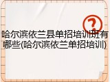 哈尔滨依兰县单招培训班有哪些(哈尔滨依兰单招培训)