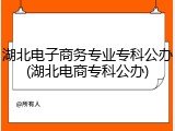湖北电子商务专业专科公办(湖北电商专科公办)