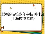 上海的技校少年学校叫什么(上海技校名称)
