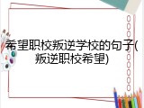 希望职校叛逆学校的句子(叛逆职校希望)