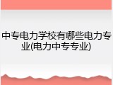 中专电力学校有哪些电力专业(电力中专专业)