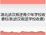 湖北武汉叛逆青少年学校收费标准(武汉叛逆学校收费)