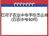石河子农业中专学校怎么样(石农中专如何)