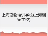 上海宠物培训学校(上海训宠学校)