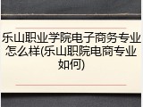 乐山职业学院电子商务专业怎么样(乐山职院电商专业如何)