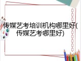 传媒艺考培训机构哪里好(传媒艺考哪里好)