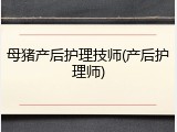 母猪产后护理技师(产后护理师)