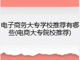 电子商务大专学校推荐有哪些(电商大专院校推荐)