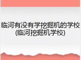 临河有没有学挖掘机的学校(临河挖掘机学校)