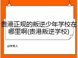 贵港正规的叛逆少年学校在哪里啊(贵港叛逆学校)