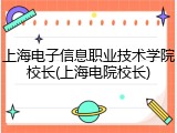 上海电子信息职业技术学院校长(上海电院校长)