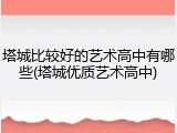 塔城比较好的艺术高中有哪些(塔城优质艺术高中)