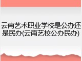 云南艺术职业学校是公办还是民办(云南艺校公办民办)
