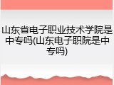 山东省电子职业技术学院是中专吗(山东电子职院是中专吗)
